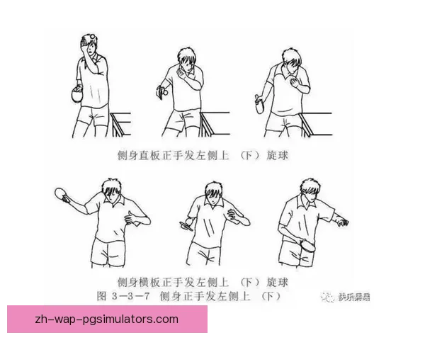 乒乓球比赛规则与技术要点详解