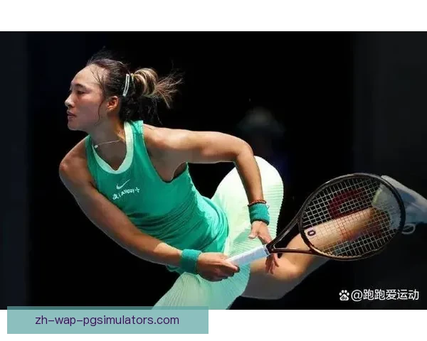 全面解析网球大奖赛：赛制、历史和明星选手