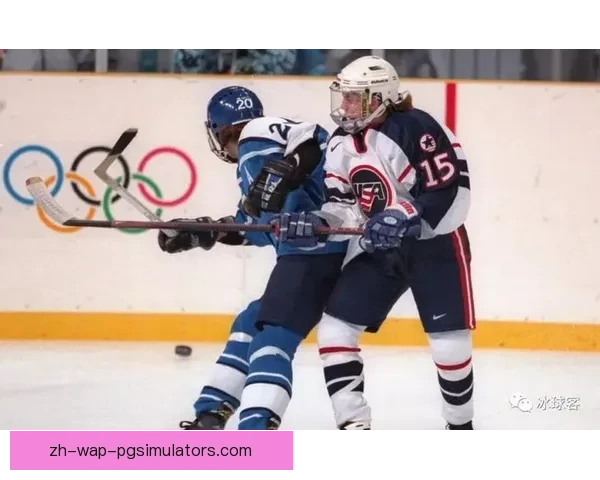 冰球世界的辉煌历史记载