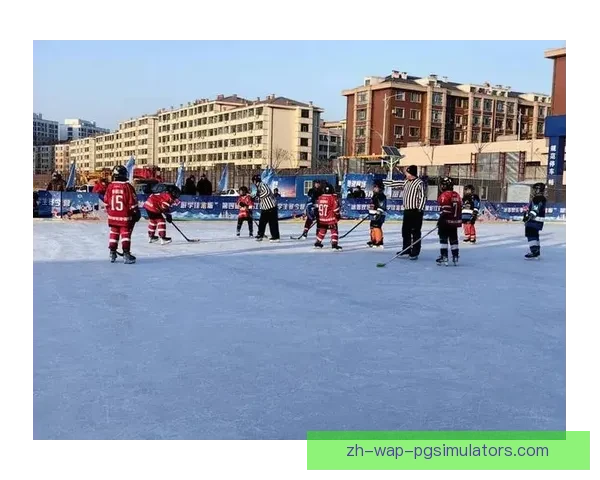 冰球杯赛：燃情对决，激发激情