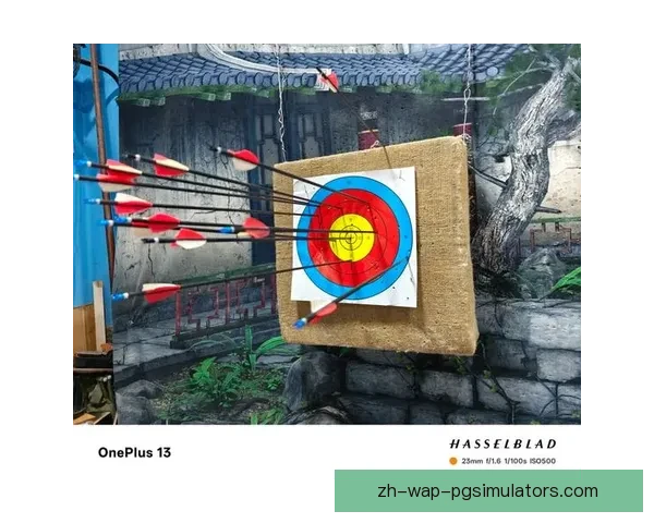 射箭世界纪录集锦:飞箭争峰,弓姿圆梦 射箭世界纪录集锦:飞箭争峰,弓姿圆梦