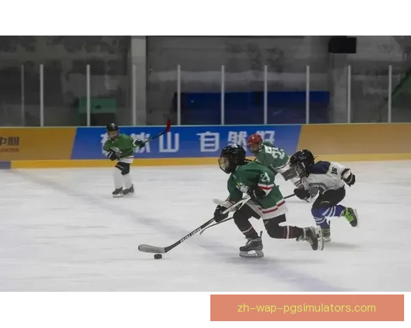 提高冰球技巧的训练方法分享