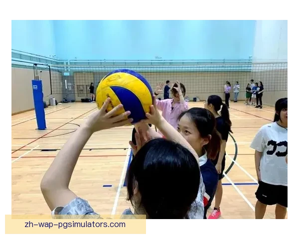 提升排球技巧：实用技巧全攻略