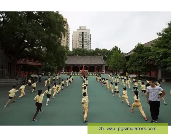 探索体操技巧的奥秘与精髓