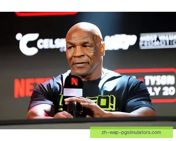 搏击巅峰：拳击巨星争霸赛