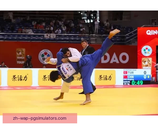 柔道大奖赛：精彩对决，技艺风采！