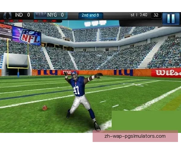 橄榄球世界纪录：挑战与突破，纪录之巅