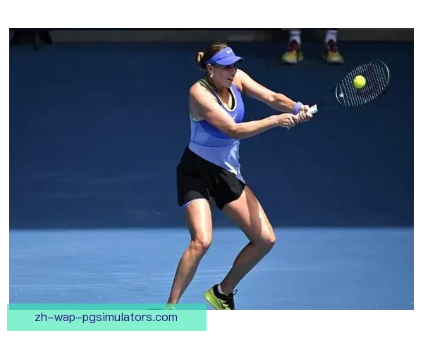 精彩对决：网球赛场上的风云变幻