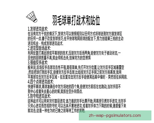 羽毛球数据分析：揭秘冠军技巧与战术密集点