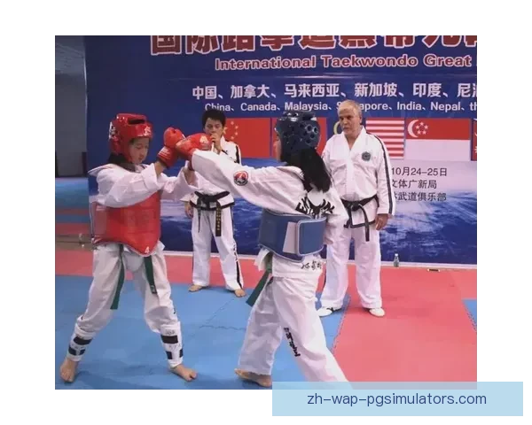 跆拳道对战策略解析与应用指南