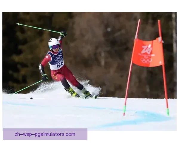 雪上飘舞，冠军归来：2022滑雪锦标赛精彩回顾